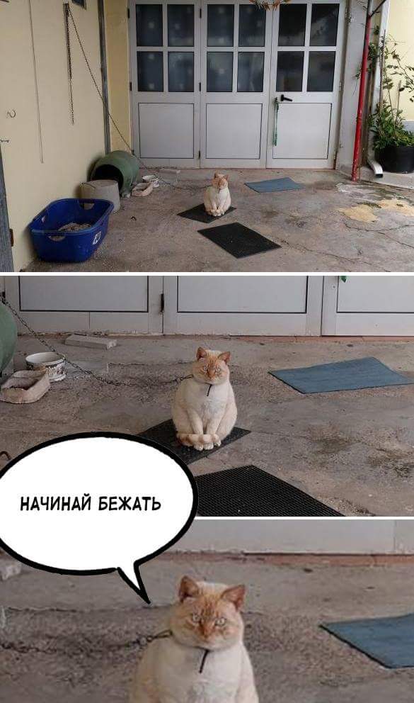 Подборка интересных и веселых картинок 21.12.18
