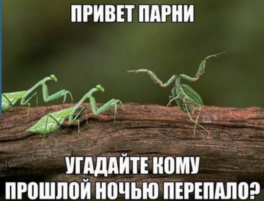 Исповедь разведенного