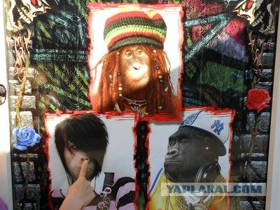 Челове-е-е-е-к!