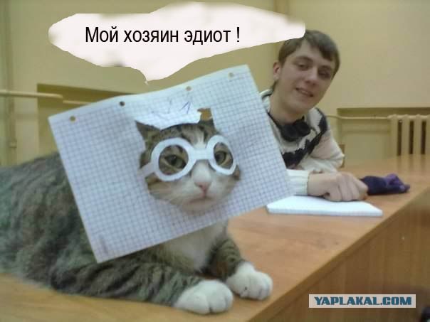 Котовторник ( 23.10. 2012. )