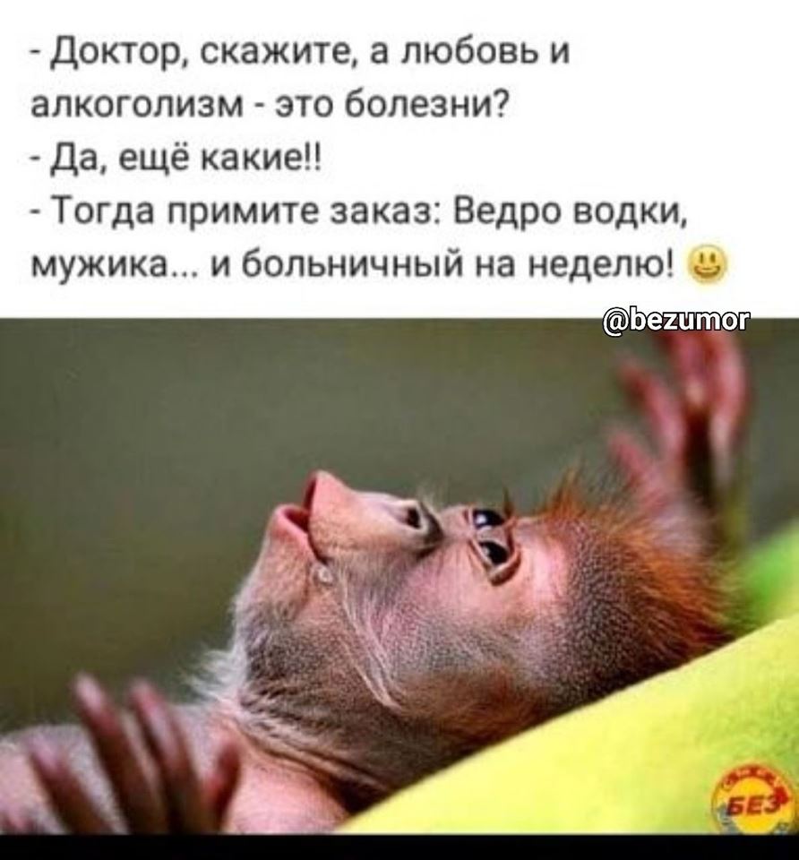 13035203.jpg