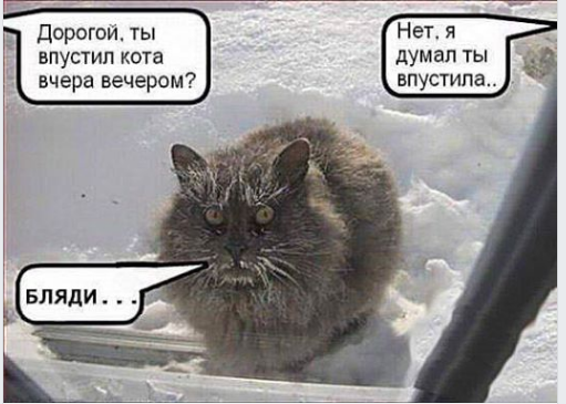 Нищебродки, не для вас мои ягодки росли!