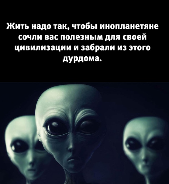Картинки с надписями, истории и анекдоты 21.12.19