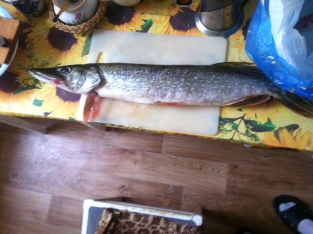 4 вопиющих факта о подделке продуктов