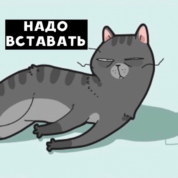 Пара-пара-пам! Фьють. Картинки с надписями и без 09.02.20