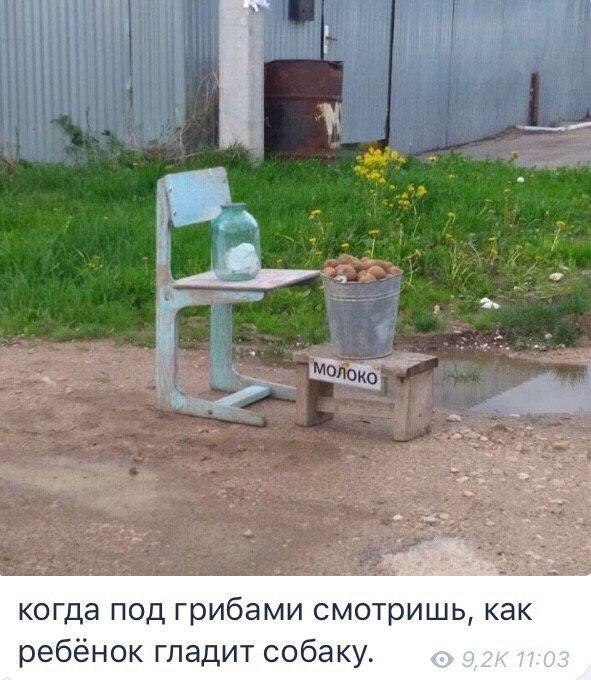 Чёрный-черный понедельник затягивает в свои владения
