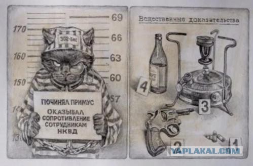 Интересные факты о жизни Михаила Булгакова — писателе, чье имя всегда было связано со множеством мифов