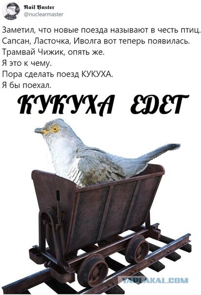 Бредзона 06.11.2020