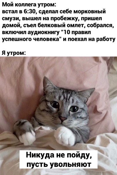 Немного картинок для настроения 16.11.20