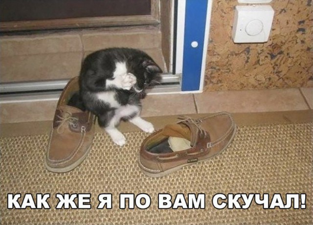 От светло серого до чёрного 4.0