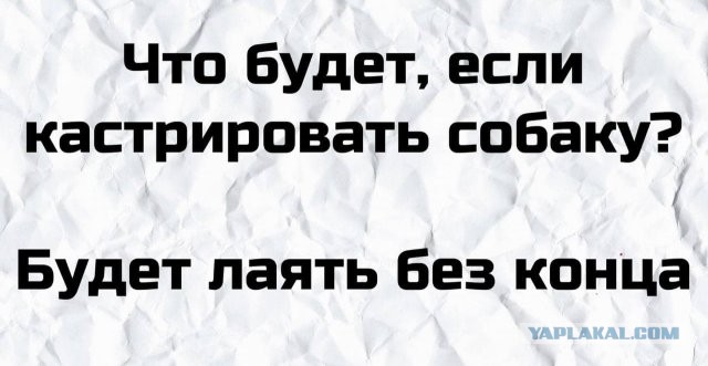 Баянисто-небаянистый юмор 3.03.21