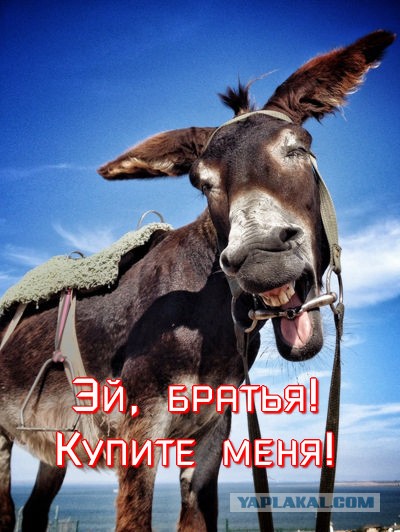 Обиделся что ему не продают машину за копейки