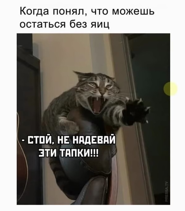 Картинки с надписями и всякие жизненные фразы 25.04.21