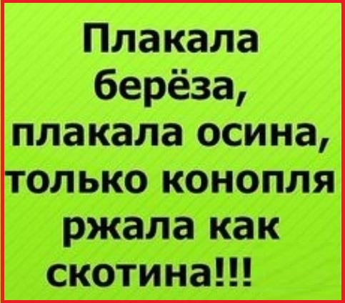 Картинки с надписями и всякие жизненные фразы 4.05.21