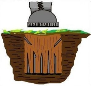 Партизаны