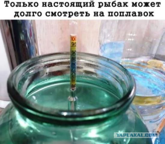 Юмор в картинках 22.08.21