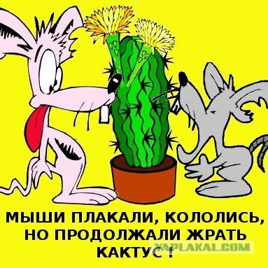 Мнение одной бабищи с Кубани насчёт остальных россиян и их отдыхе