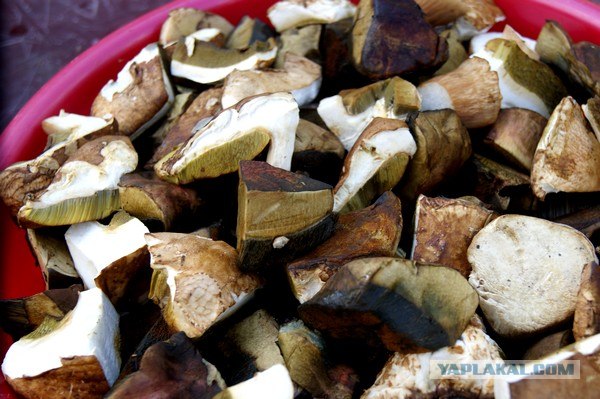 Осень в банках