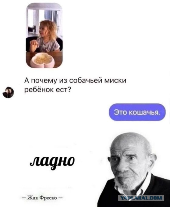 Весёлый полтишок 26.11