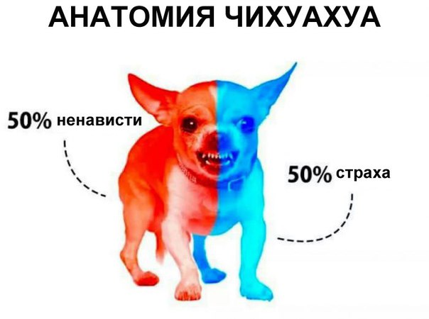 Это оно, мне кажется, не танцует - его так Кондратий хватает