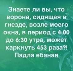 Всяческие картинки 02.02.2022