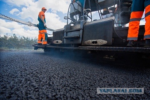 Зацеперы имени дедушки Дарвина