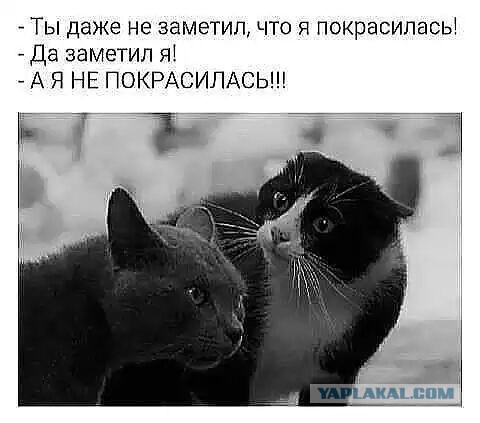 Пятница. И немного слегка пошлых картинок с надписями и без 16+ (22.04)