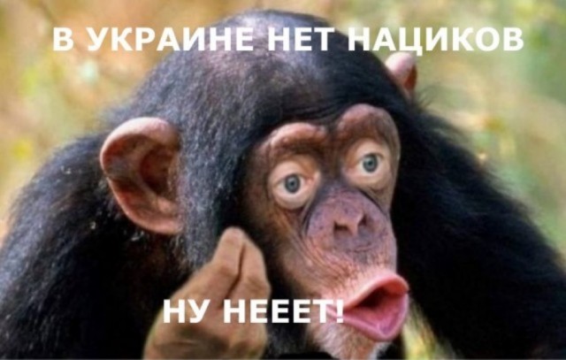 Избил уличного музыканта за песню на Русском