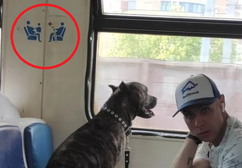 Ненавижу быдло