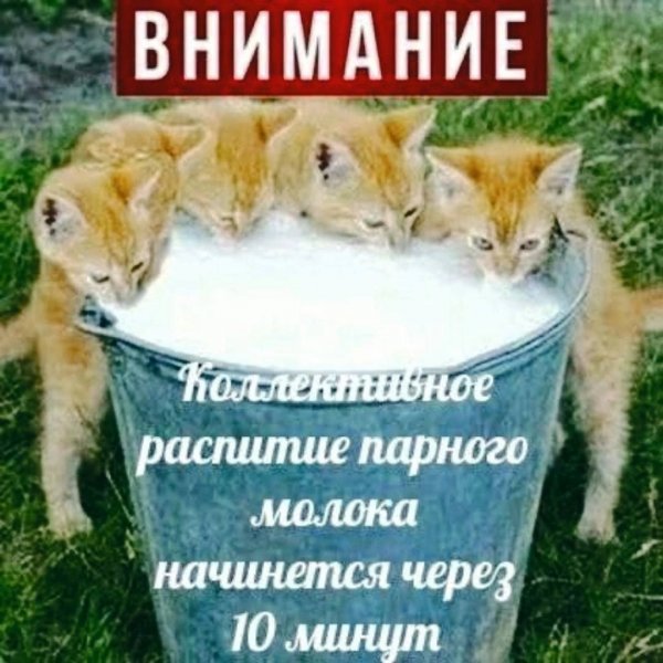 Прикольные и просто красивые картинки 09.11.2022
