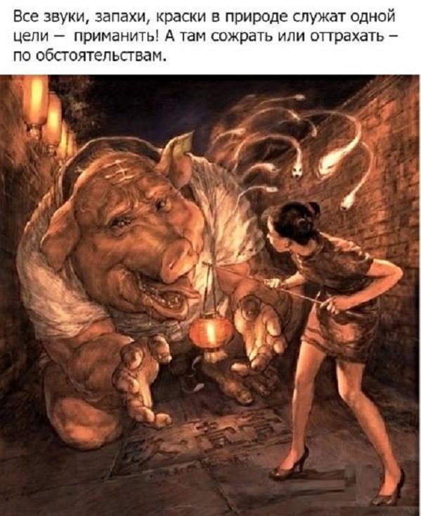 Немного картинок для настроения - 137