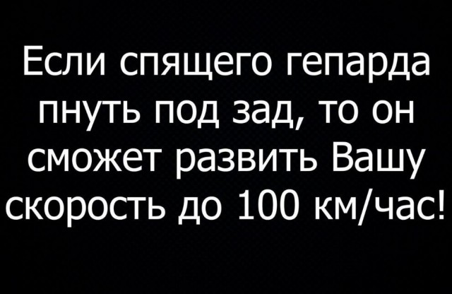 Народная меДИЧина 3005