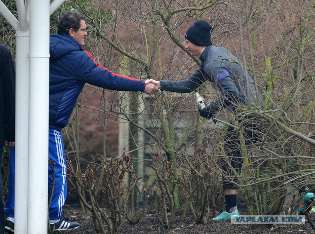 Аршавин навестил сборную