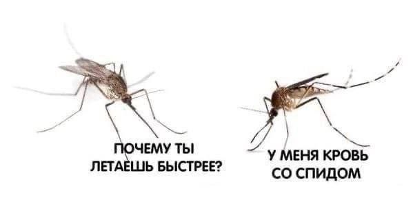 Дежавю