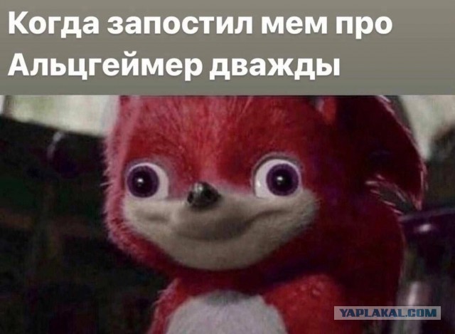 Нуштош 14.03.23