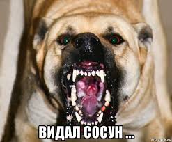 Британский журнал European нашел кто пососет язык Далай Ламе