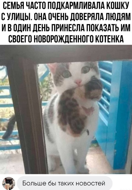 Забавные комментарии из социальных сетей (29.05.23)
