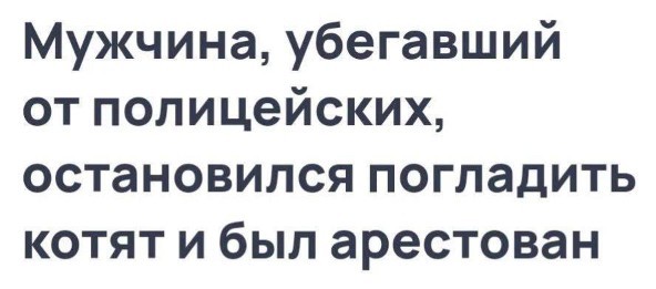 Всего понемногу. От 31.07.23