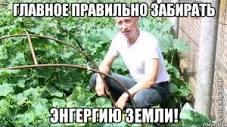 10 популярных мемов, которые подарило нам кино