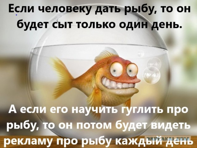 Так себе картинки 18.01.2024