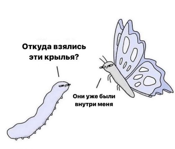 Прикольные и просто красивые картинки 09.08.2024
