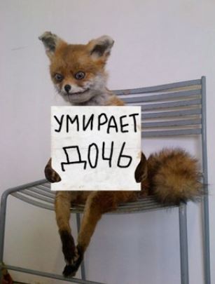 Не только лишь все люди могут так