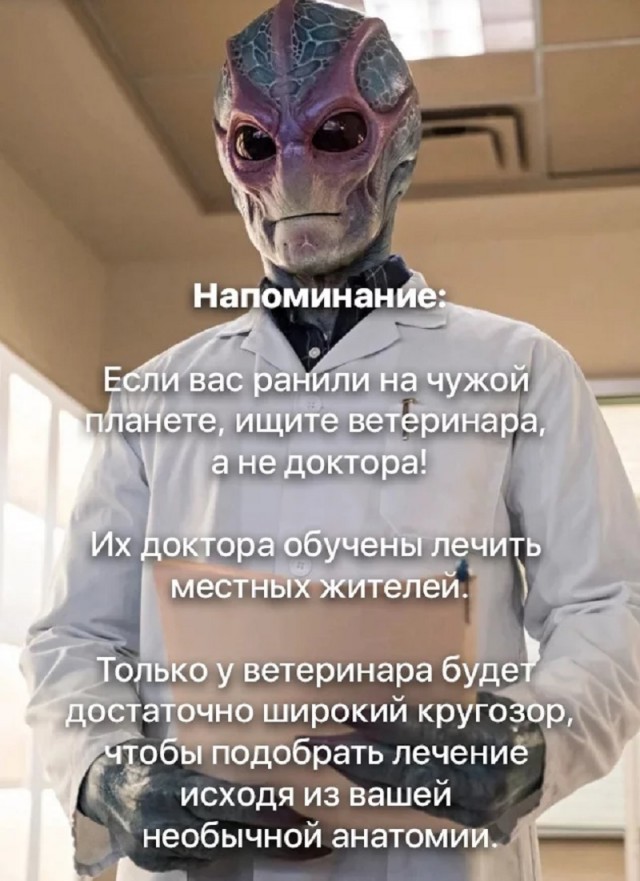 Добрый вечер всем!