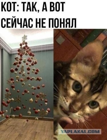 Веселые картинки в последний рабочий день уходящего года (28.12)