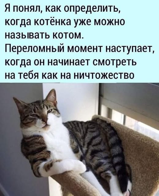 Весёлые картинки 2