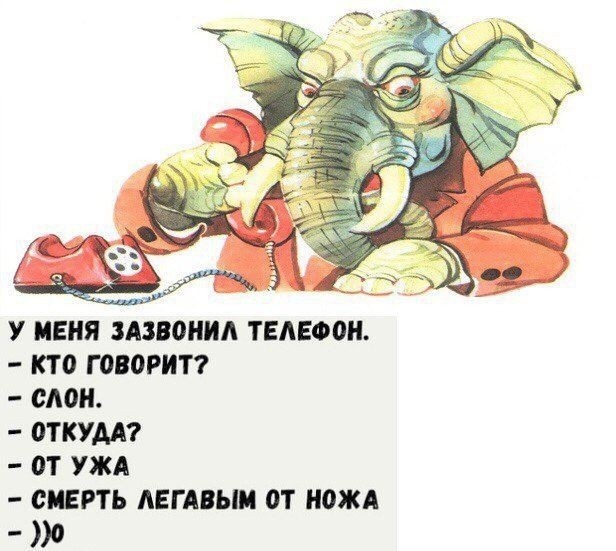 20135203.jpg