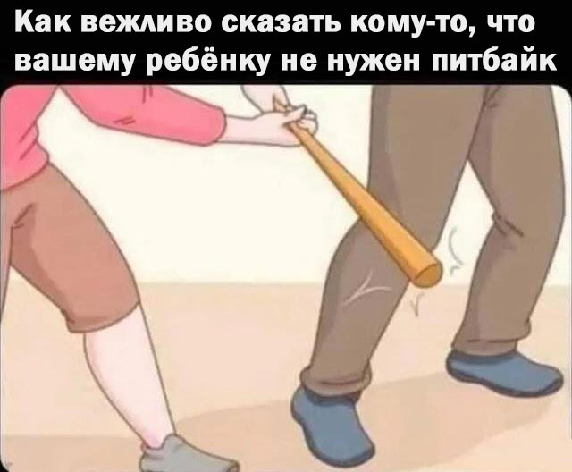 Веселые картинки в маленькую пятницу (10.09)