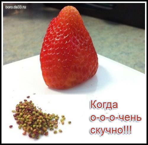 Разница поколений