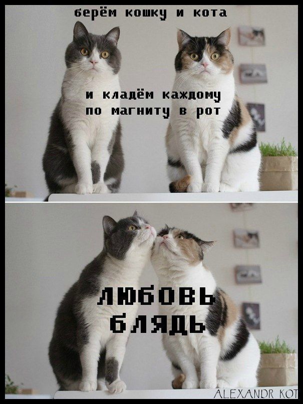 «Не от кого рожать»