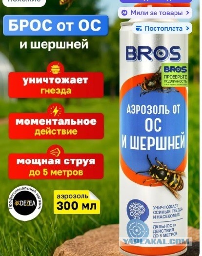 Шершни на даче. Кто как боролся с ними?